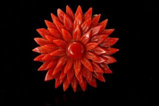 Antique Victorian Carved Red Coral Flower Pin Brooch D101 - 03