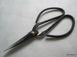 Black Vintage Pruning Scissors