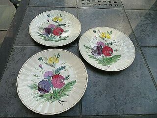 Vintage Blue Ridge Southern Potteries 3 Dinner Plates 10 - 1/4 " - Chrysanthemums