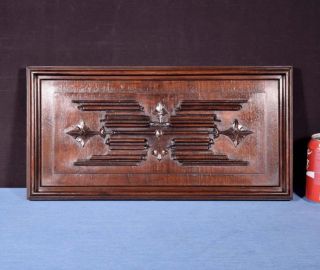 French Antique Gothic Panel In Deeply Carved Walnut Wood