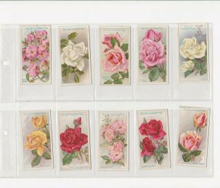 Full Set Of 50 Roses Cards From Wills 1926.