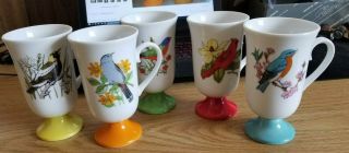 Vintage Set Of 5 Fred Roberts Colorful Bird Pedestal Coffee Cups - Made In Japan