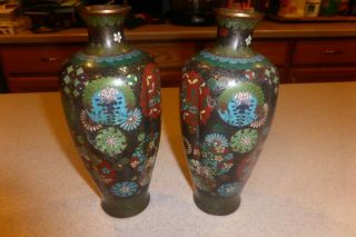 Pair Antique Japanese Meiji Cloisonne Enamel Vases Cherry Blossom Butterflies 9 "