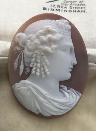 Antique Victorian Expertly Carved Shell Cameo Brooch /pendant Insert,  Goddess