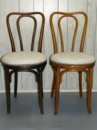 J & J Kohn Antique Bentwood Chairs Cafe Chair Upholstery Nailhead Trim 1800s