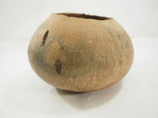 Prehistoric Hohokam Gila Plain Ware Pottery Bowl 800 - 1200ad Naa146