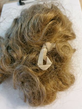 Antique Human Hair Doll Wig Brunette,  German French,  Removed From A Bisque Doll
