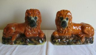 Antique 2 Pair Staffordshire Lions Huge Brown Gold Glass Eyes Vtg Extremely Cool