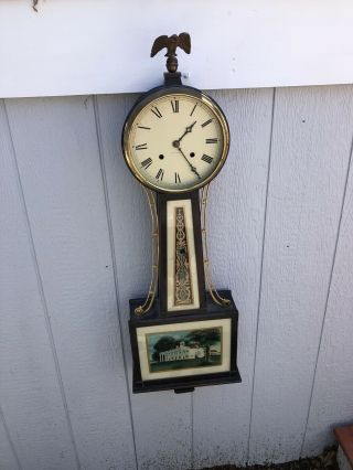 Magnificent Antique 41 " Haven Willard Model Banjo Clock Time & Strike 8 Day