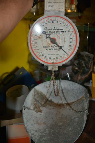 Vintage American Family Hanging Scale 60 Lbs Wow