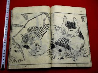 1 - 10 Saho9 Japanese Animal Pictures Ehon Woodblock Print 2 Book
