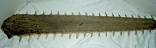 Sawfish Rostrum,  Antique 28 " Long And 38 Teeth