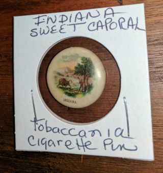 Sweet Caporal Cigarette Advertising Pin Arkansas State Seal Coat Arms