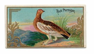 1889 Allen & Ginter N13 Game Birds Rock Ptarmigan