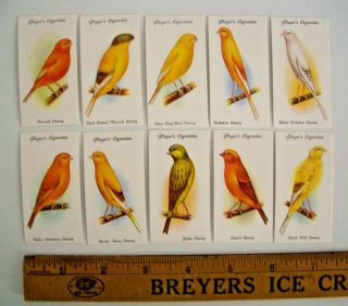Ca 1933 Aviary & Cage Birds Players Tobacco Cards Complete Set 50
