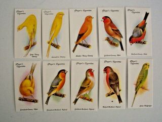CA 1933 AVIARY & CAGE BIRDS Players Tobacco Cards Complete Set 50 3