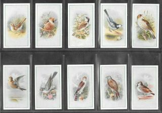 P.  J.  CARROLL 1939 INTRIGUING (BIRDS) FULL 25 CARD SET  BIRDS 2