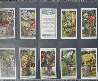 Cigarette Cards - Wills - Flowering Trees & Shrubs - Full Set 50 - VG 3