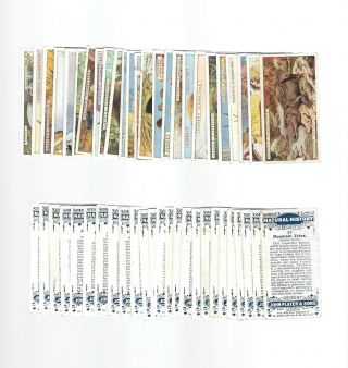 Cigarette Cards.  John Player Tobacco.  Natural History.  (full Set Of 50).  (1924).
