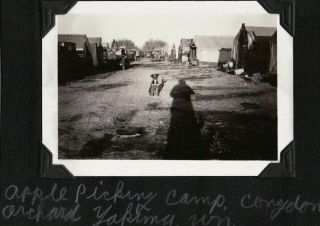 Vintage Dog Farm Car - Conydon Orchard - Apple Picking Camp Yakima Washington Photo