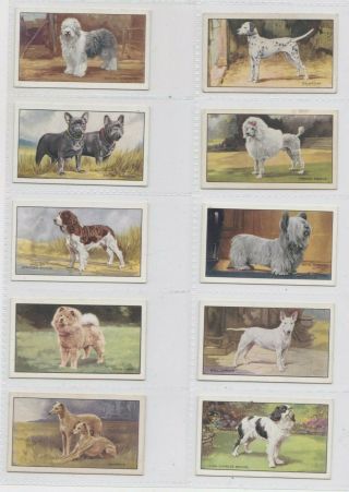 Gallaher Set: Dogs A Series 1936