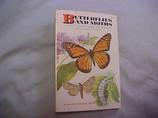 Vintage 1964 Butterflies And Moths: A Golden Nature Guide By Mitchell & Zim Pb