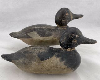 Antique Early Mason Factory Glasseye Broadbill Duck Decoy Rig - Mate Pair