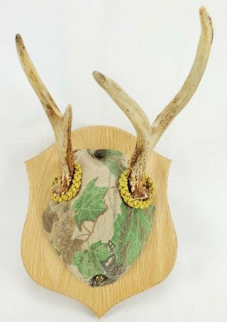 Vintage Buck Antlers Mounted Deer Horns On Wood Plaque Cabin Man Cave Hunting