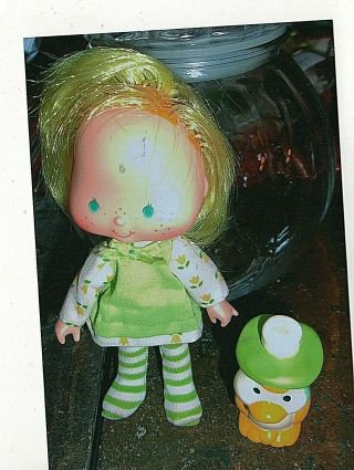 1980 ' s Strawberry Shortcake Doll of Tulip & Marsh Mallard Duck her pet 2