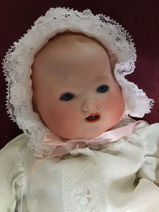 12” A.  M.  Dream Baby.  - Our Pet - Bisque Head,  Cloth Body,  Glass Eyes -