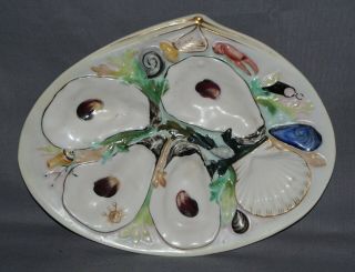 Union Porcelain Oyster Plate,  Great Color,  Lobster,  Crab,  & Shells,  Ca 1886