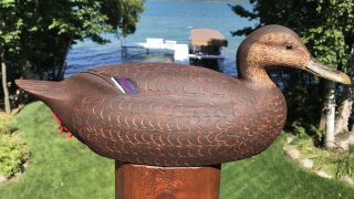 Vintage Ralph Malpage Black Duck Decoy Rare Hollow - Carved Model Ontario
