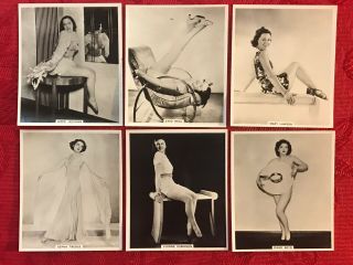 1939 British American Tobacco 6 Card Subset - Modern Beauties - Pin Up Cards - Nrmint