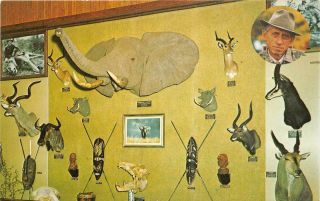 Grayling Mi 1967 African Animal Display @ Long Gone Fred Bear Museum Vintage 569