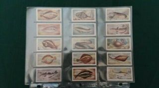 Like Cigarette Tobacco Cards The Fish We Eat 1954 Full Set 25 Cards
