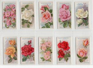 Complete Set Of 50 Vintage Rose Painting Cards From 1926