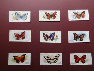 Butterflies Issued 1932 By Players Set 50