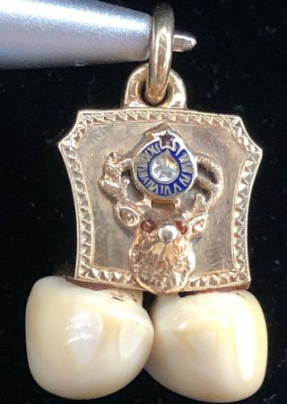 Antique 14k Gold Enamel Bpoe Double Elks Tooth Pendant Watch Fob 8.  1 G