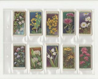 Full Set Of 50 Wild Flowers Cards From Wills 1923
