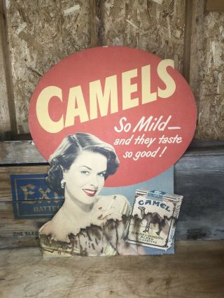 Jc40 Vintage " Camels Cigarette " Advertising Poster Easel Back 1940’s Sign