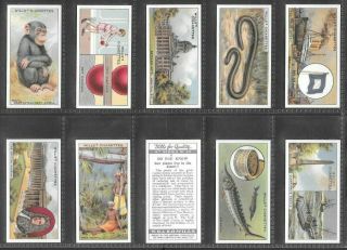 Wills 1933 Interesting (knowledge) Full 50 Card Set  Do You Know 4th