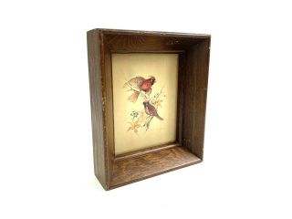 Vintage Wood Framed Bird Print Whitney Three Mountaineers 5.  5x6.  25