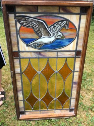 Large Stained Glass Window Sea Gull From Seaside Church Seagull 21” X 35”