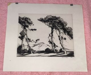 Alfred Hutty 1877 - 1954 Etching 12” X 10.  25” Pencil Signed Quality