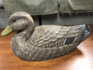 Vintage General Fibre Co.  St.  Louis,  Mo.  Ariduk Male Duck Decoy.