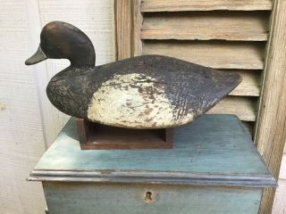 Antique Vintage Old Wooden Early Long Island Bluebill Duck Decoy