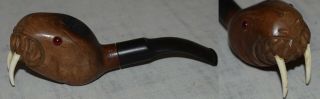 Vintage Hand Carved Briar Pipe Walrus With Red Glass Eyes - Made In Italy