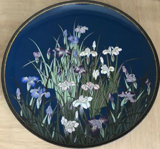 Antique 19th C Japanese Meiji Cloisonne Wall Plate Charger Iris Flowers 12in