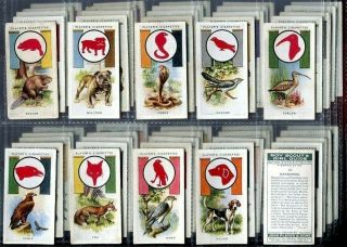 Tobacco Card Set,  John Player,  Boy Scout & Girl Guide,  Cub,  Beaver,  Badge,  1933