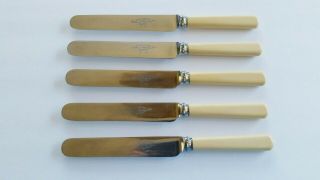 Vtg Set Of 5 Faux Bone Rusnorstain Table Knives 8.  25 " Robert F Mosley Sheffield